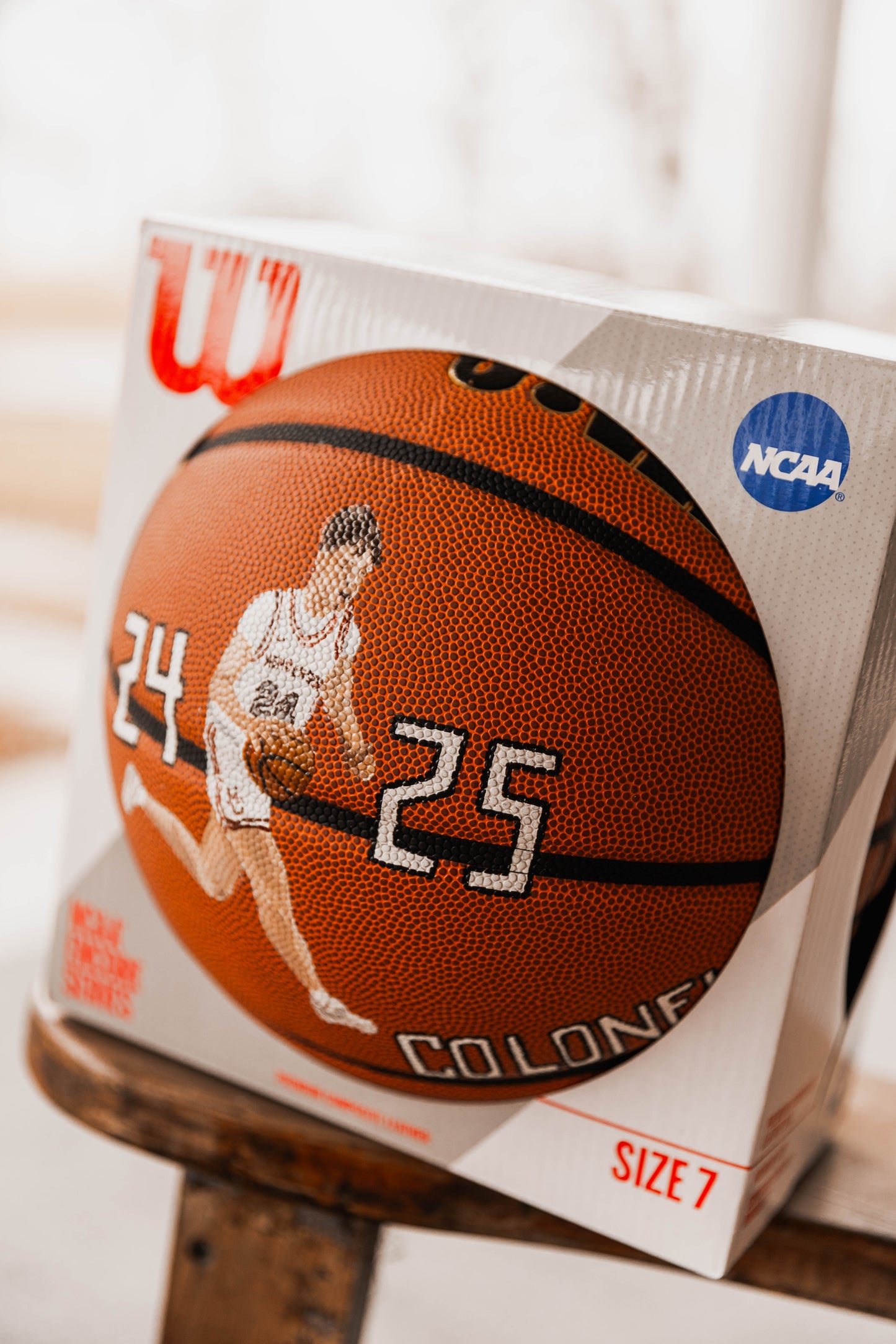 Hand Painted Basketball