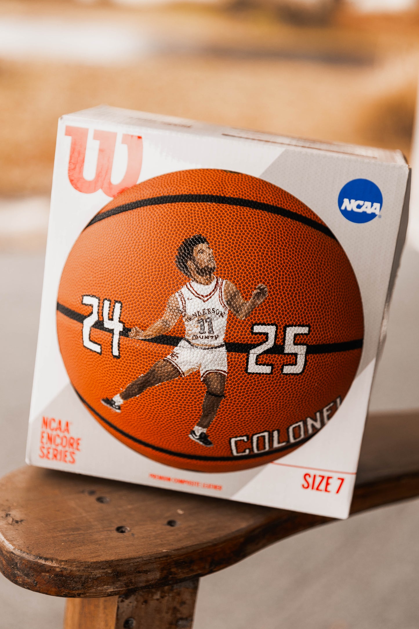 Hand Painted Basketball