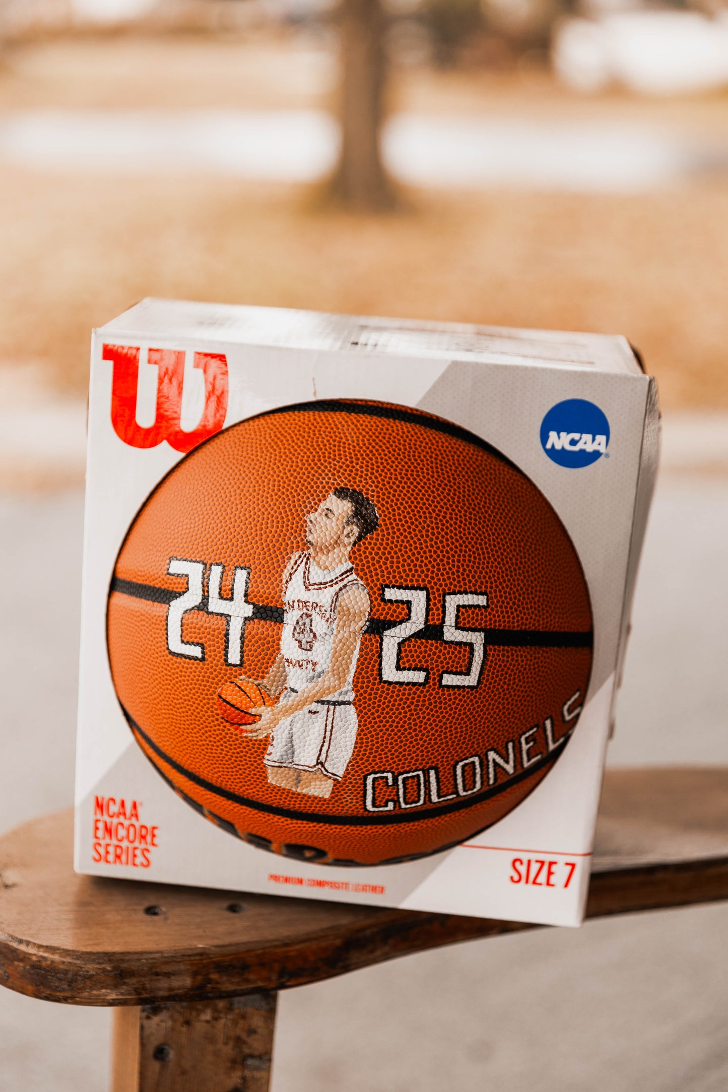 Hand Painted Basketball