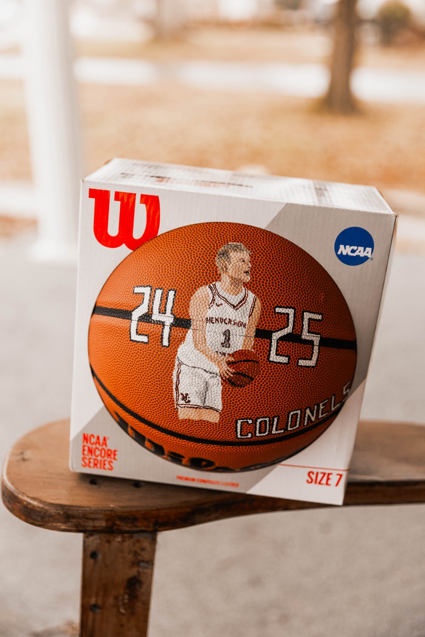 Hand Painted Basketball