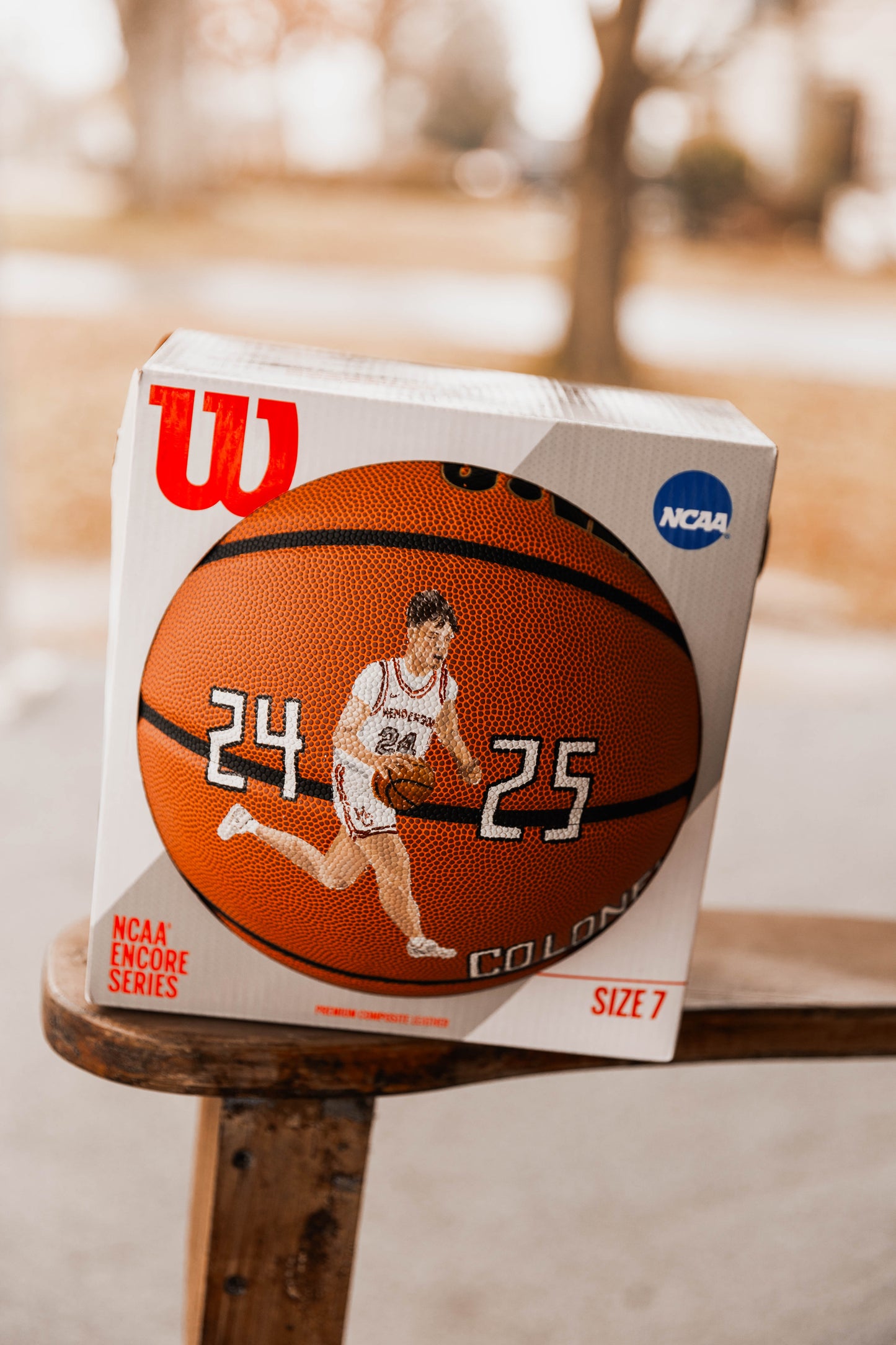 Hand Painted Basketball