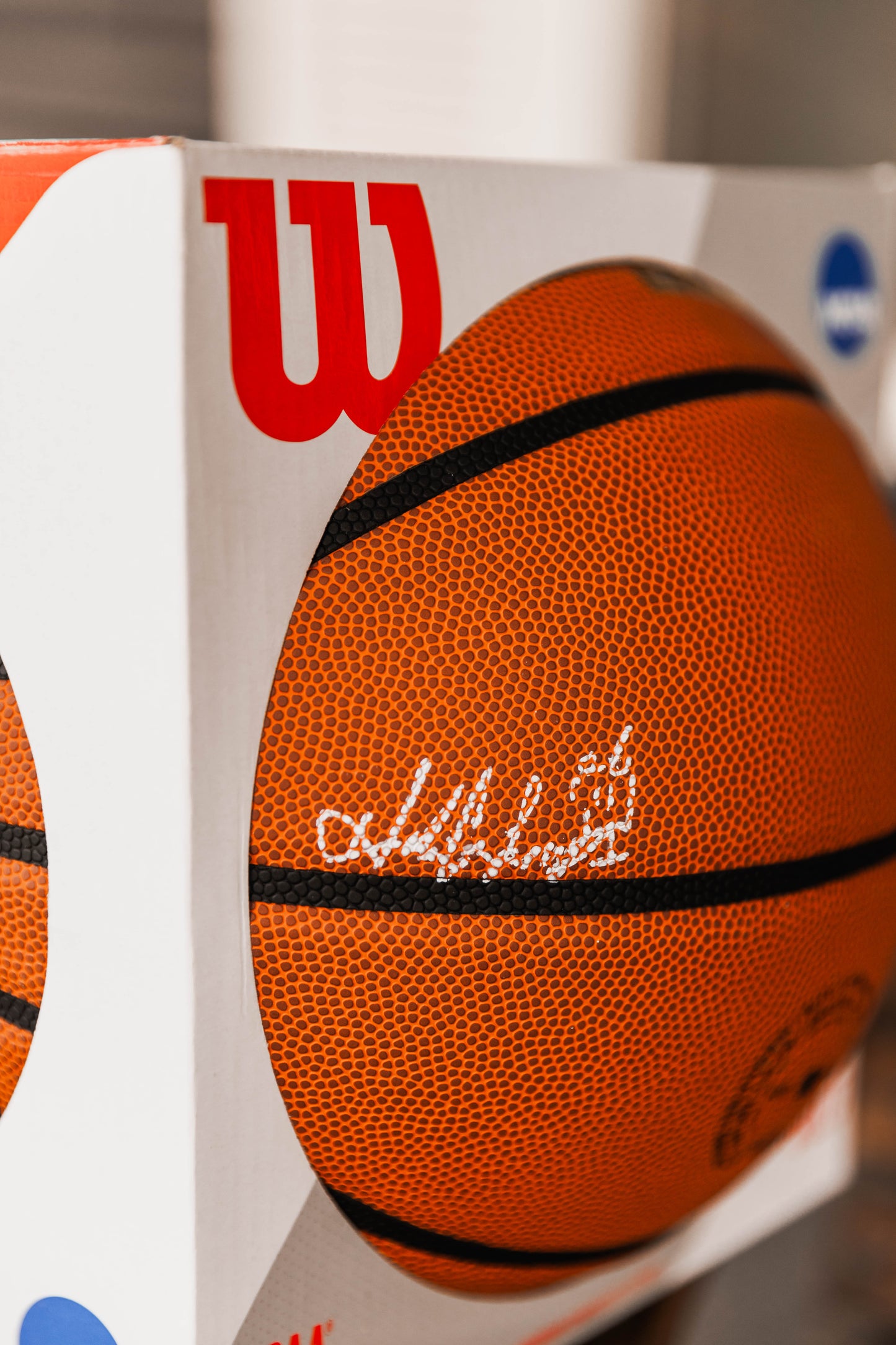 Hand Painted Basketball