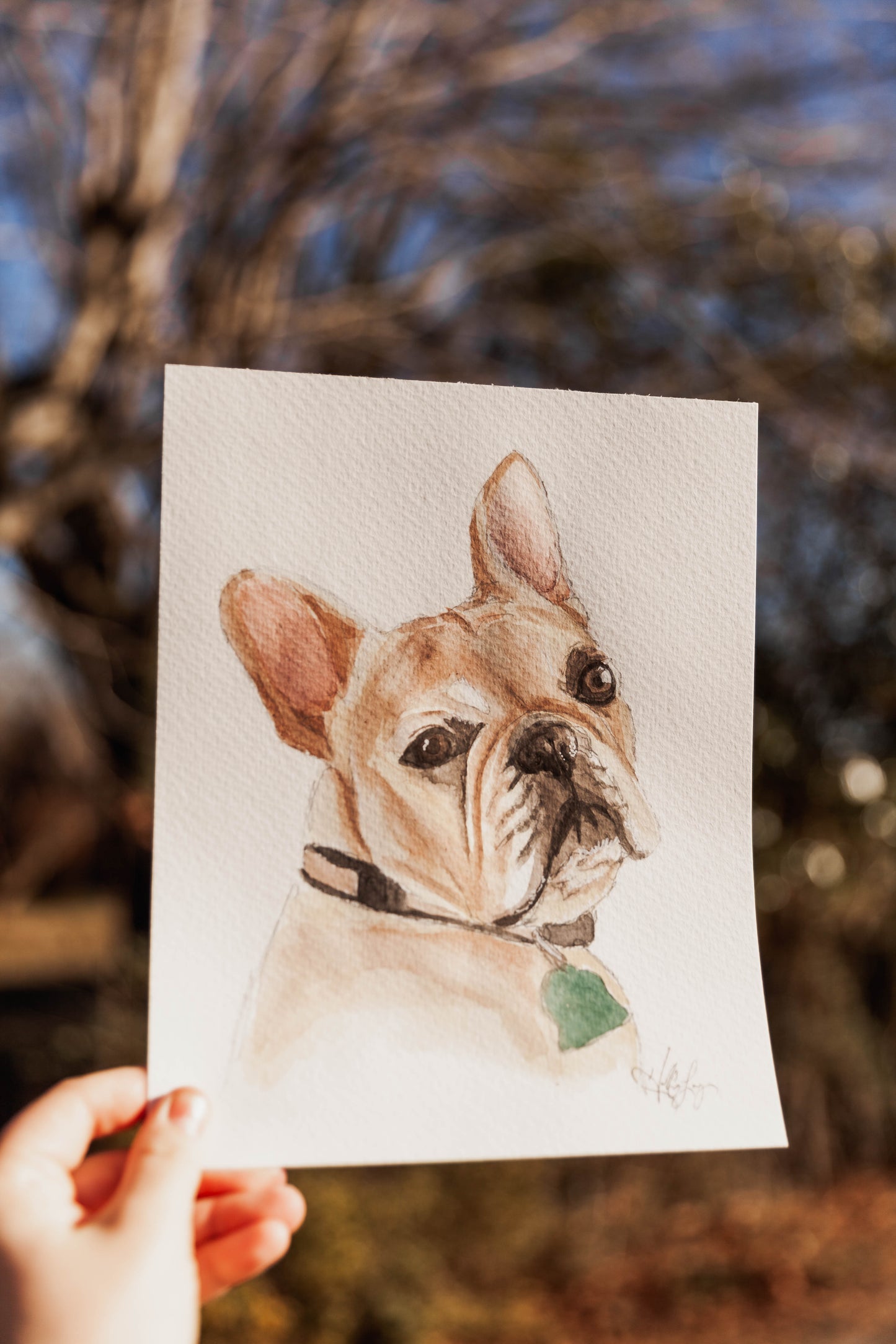 Watercolor Pet Portrait