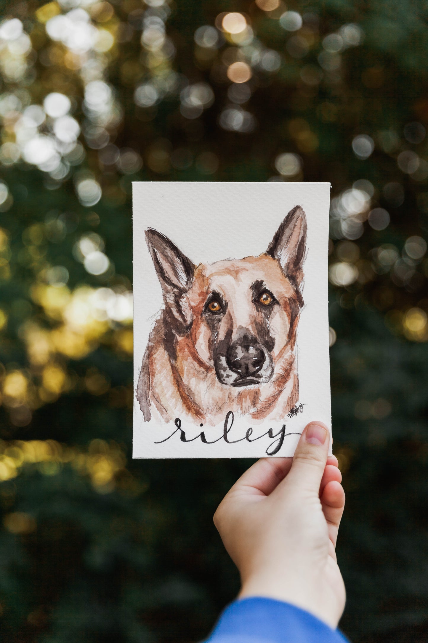 Watercolor Pet Portrait
