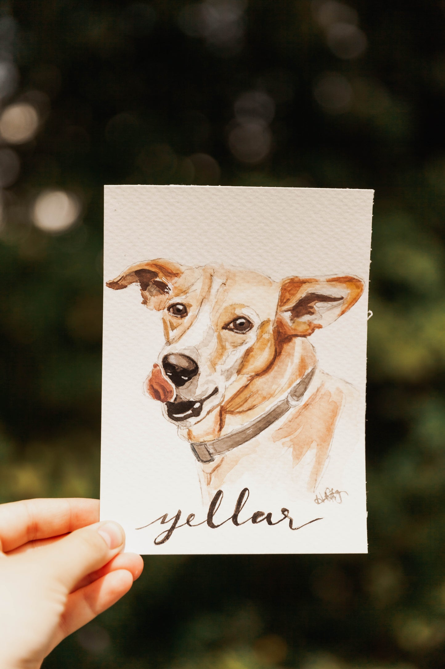 Watercolor Pet Portrait